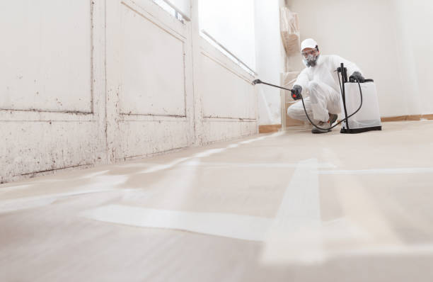 24/7 Emergency Mold Removal experts in Fayetteville, GA